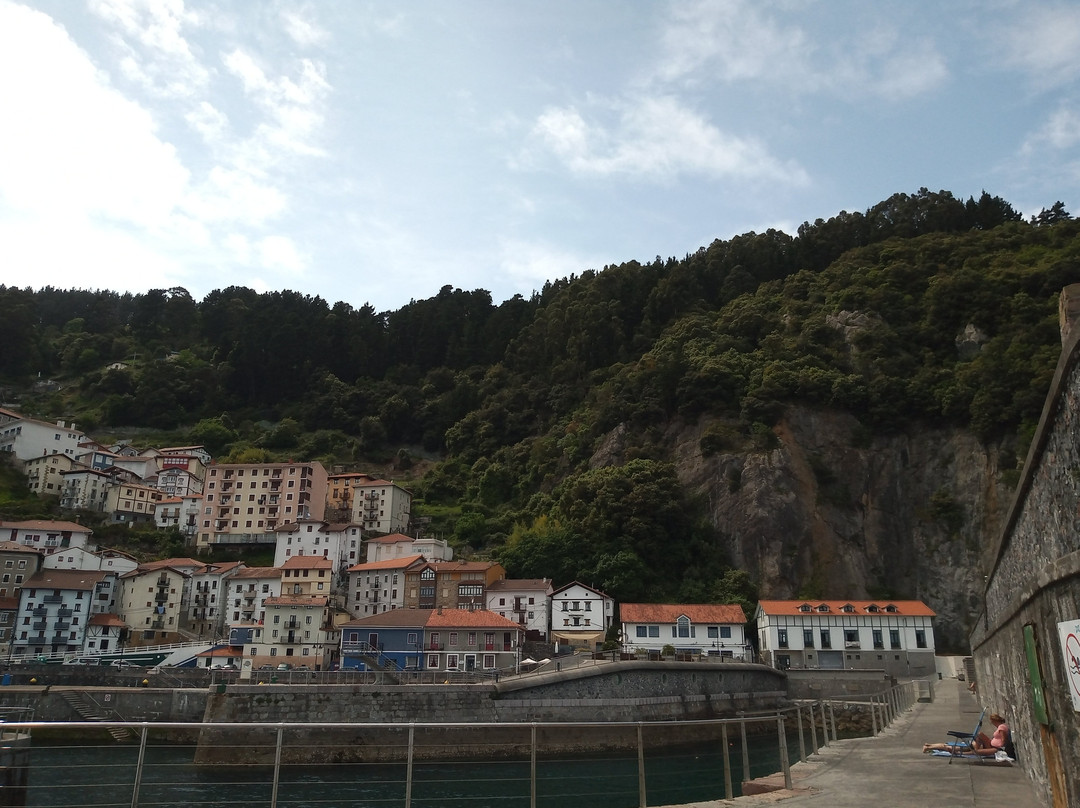Puerto de Elantxobe景点图片