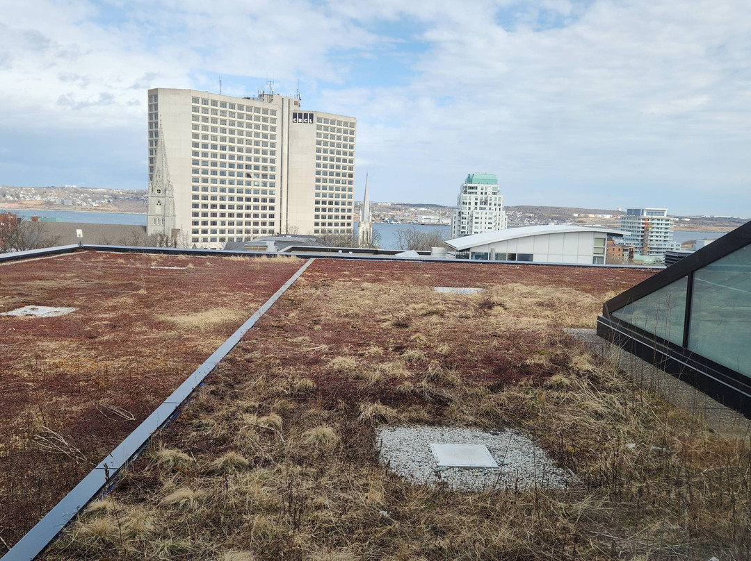 Halifax Central Library景点图片