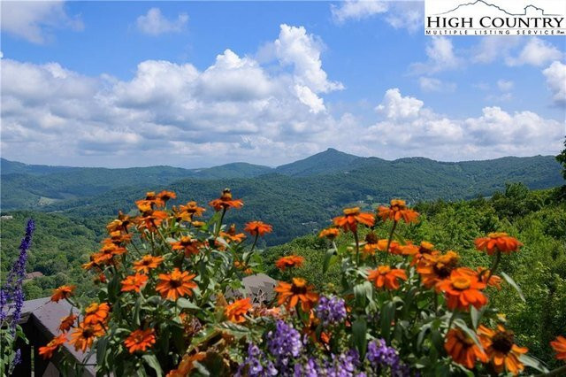 Sugar Mountain Resort景点图片