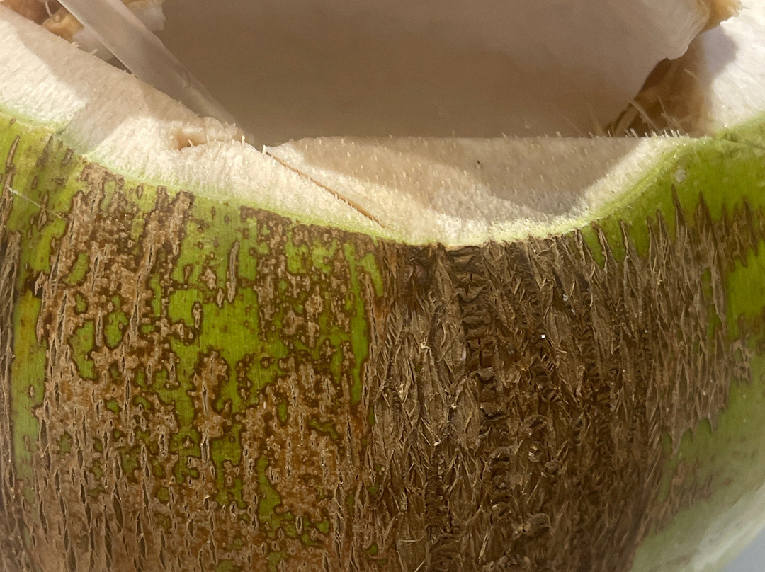 Pattaya Marina Night Market-芭堤雅必去景点