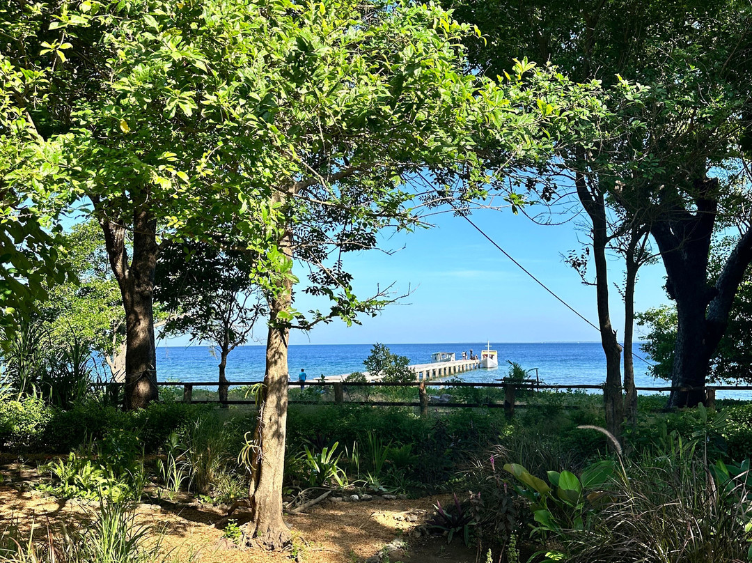 Moyo Island Resort主图