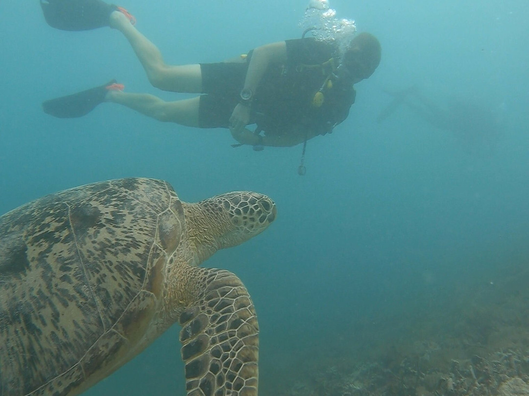 Gili Island Diving Center景点图片