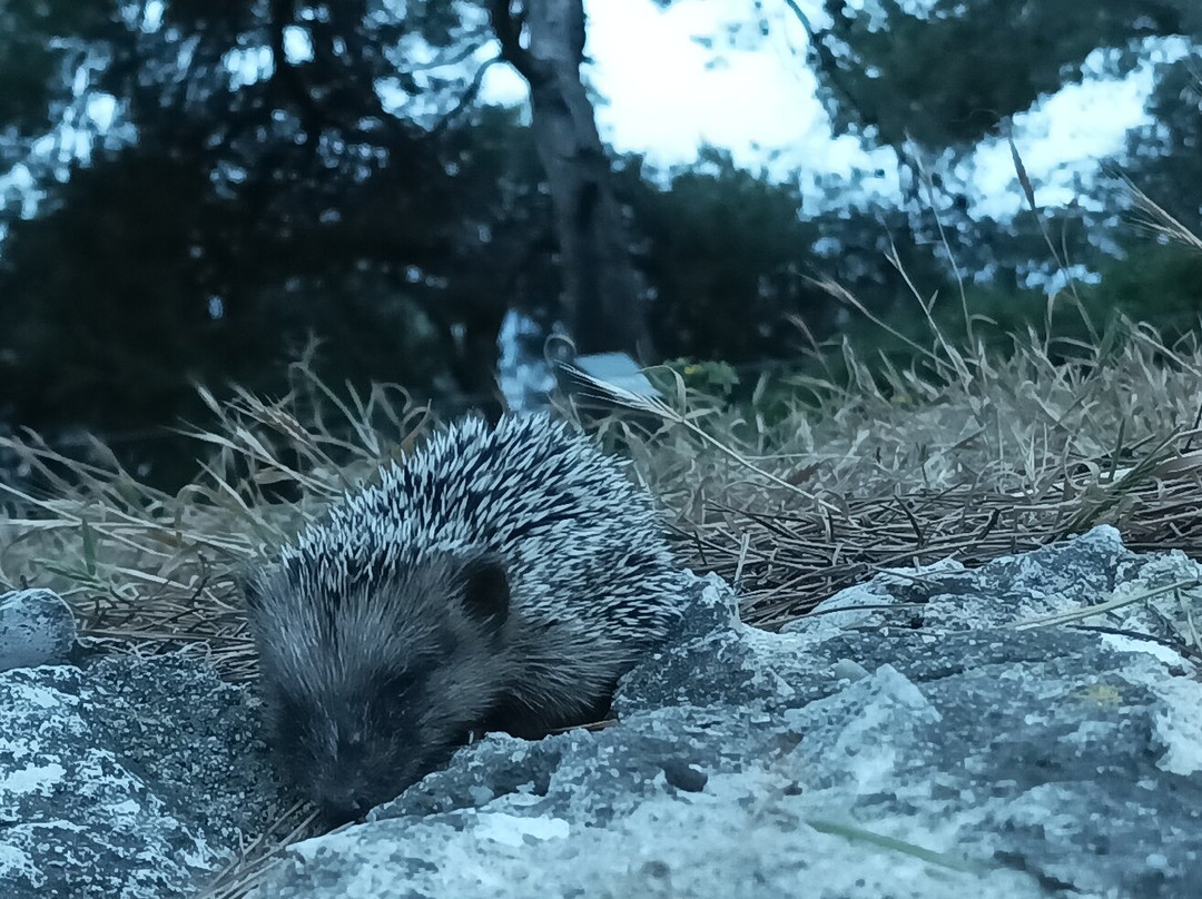 Espace Mer et Littoral-安提贝必去景点