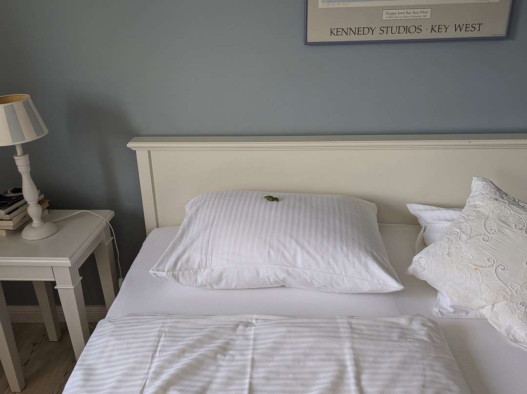 Landhotel Seelust主图