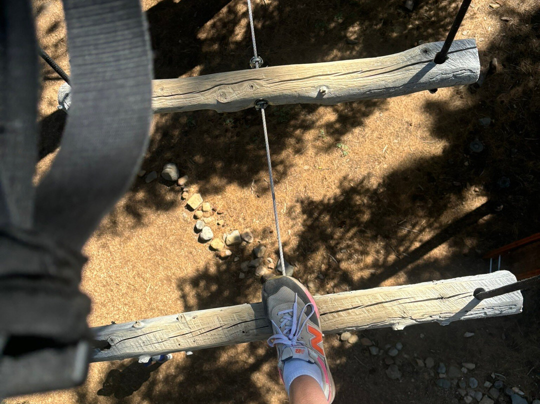 Tahoe Vista Treetop-塔霍维斯塔必去景点