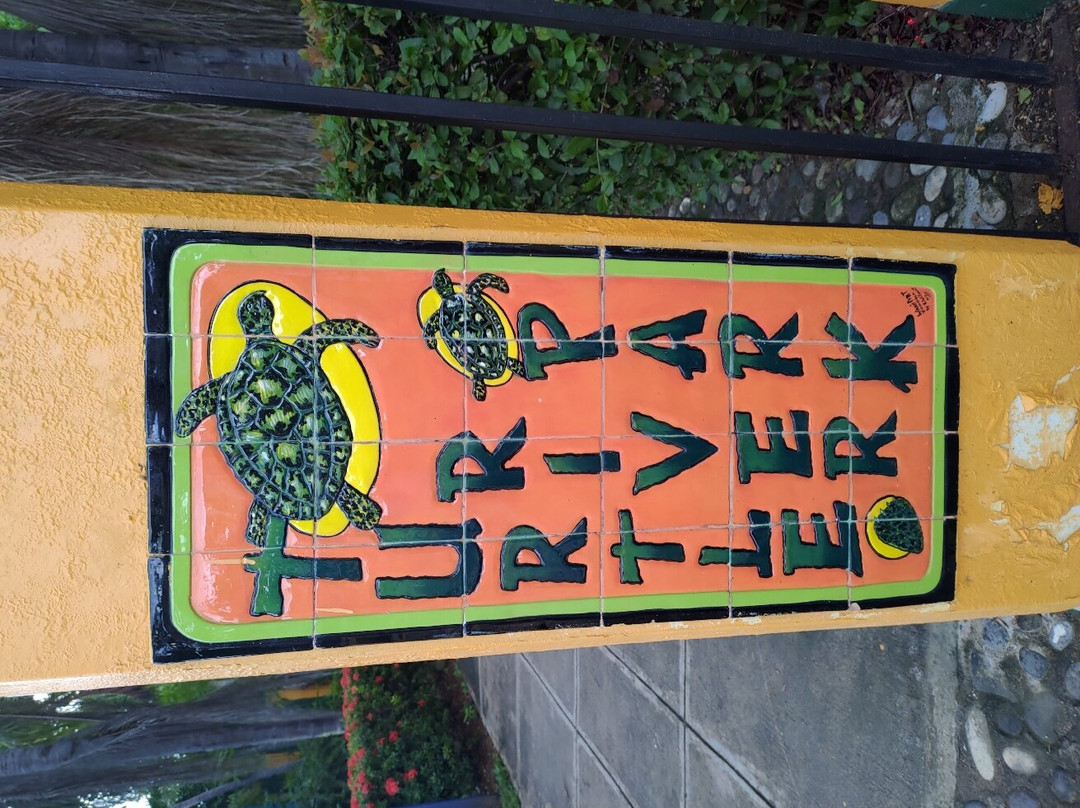 Turtle River Park景点图片