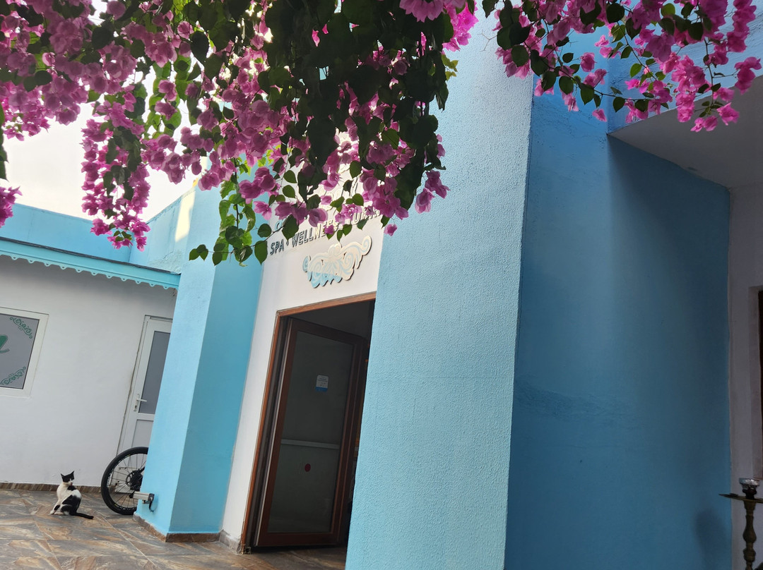 Sultan Spa Wellness景点图片
