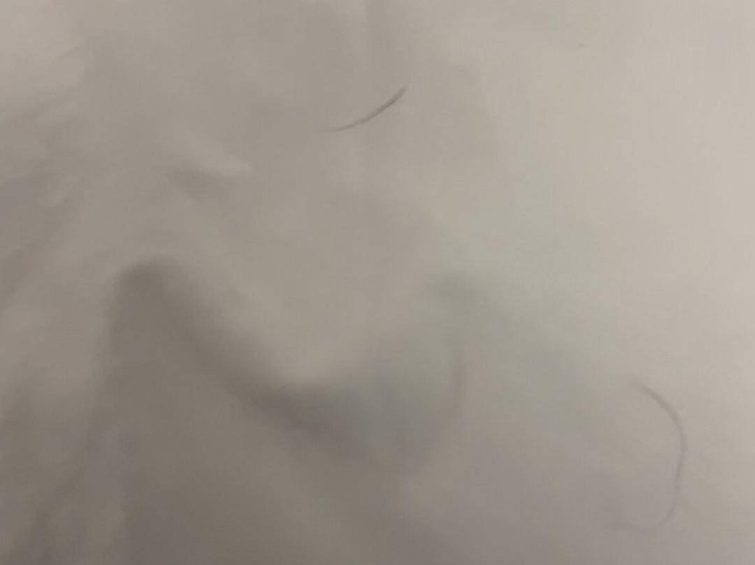 Residence Inn by Marriott Modesto North主图