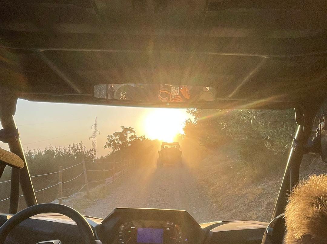 Safari Buggy景点图片