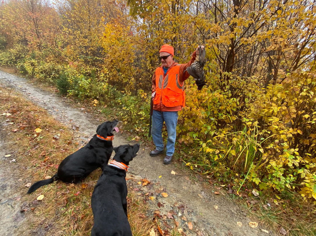 Cedar Ridge Outfitters