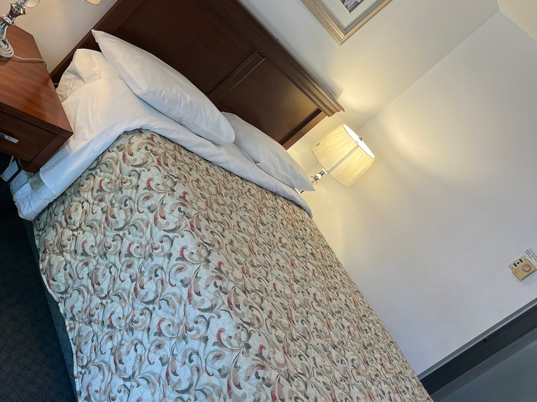 Red Roof Inn Motel主图