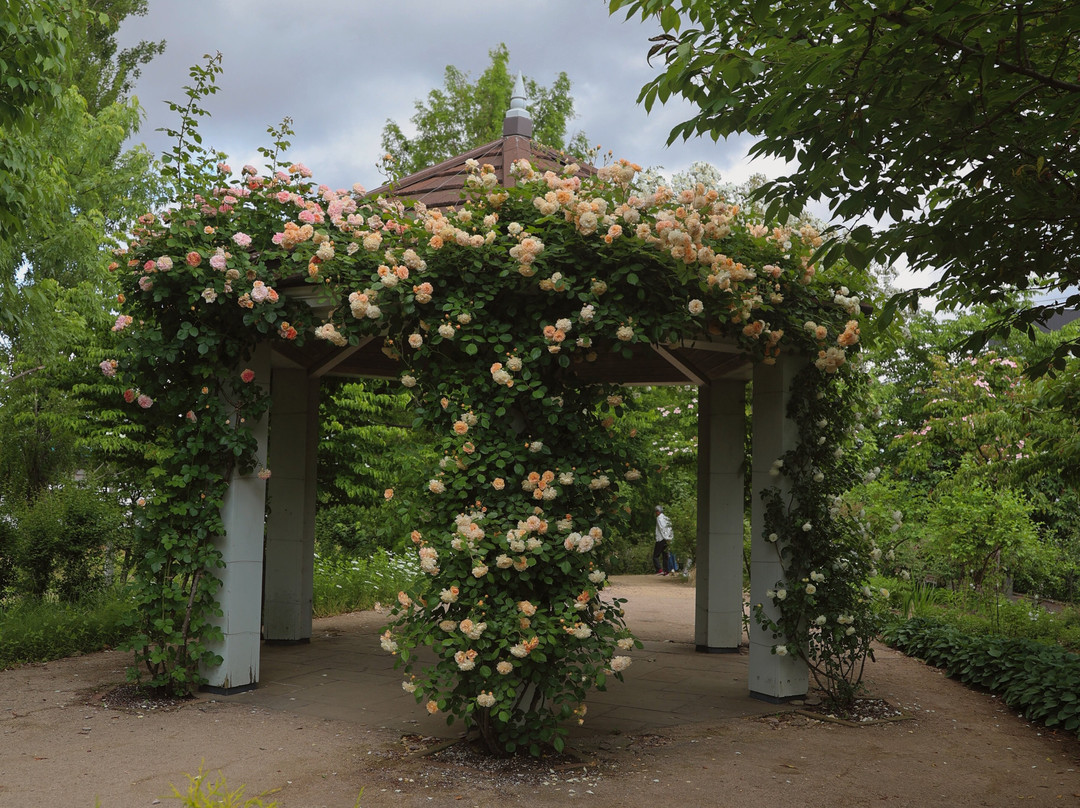 Mitsuke English Garden景点图片