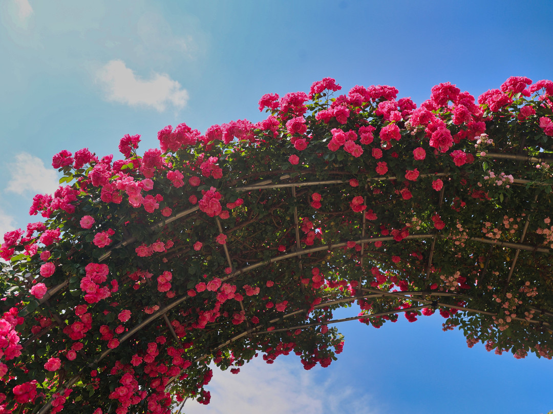 Ippongi Park-中野市必去景点