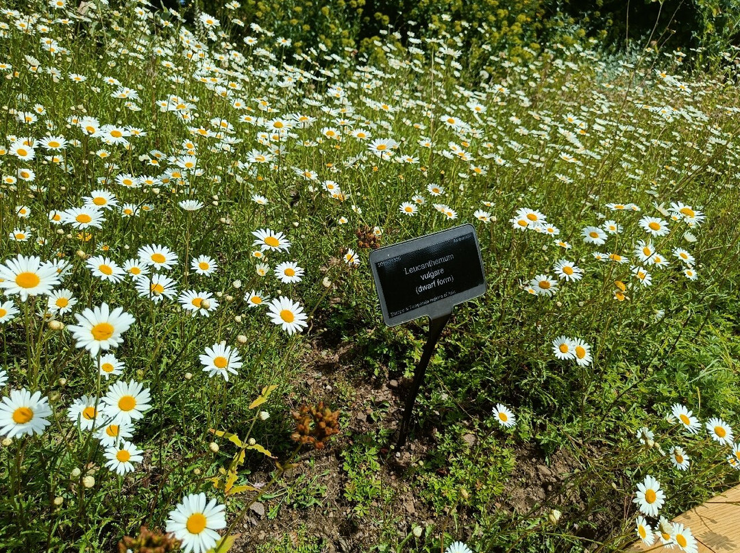 University of Bristol Botanic Garden-布里斯托尔必去景点