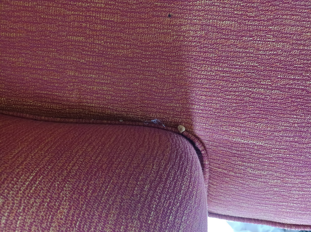 Hampton Inn North Myrtle Beach-Harbourgate主图