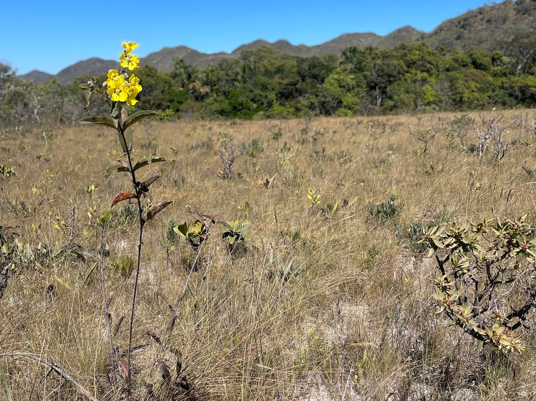 Community Kalunga of Engenho II-Cavalcante必去景点