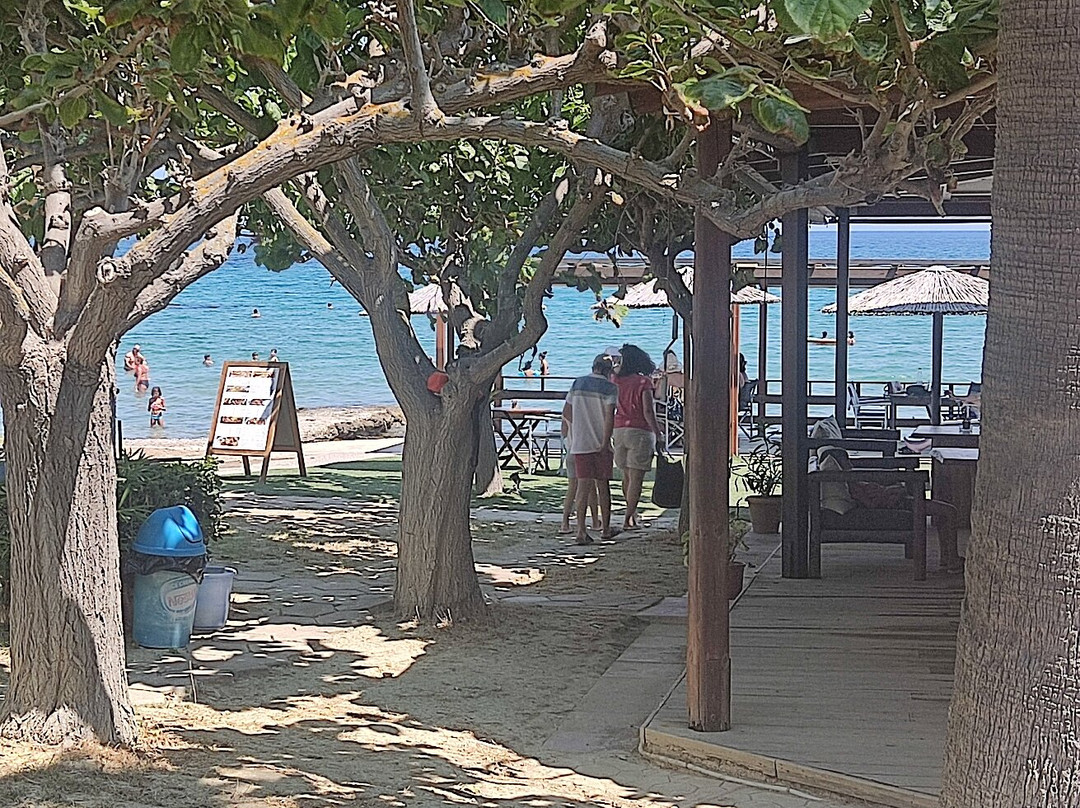 Levantino Studios & Apartments主图