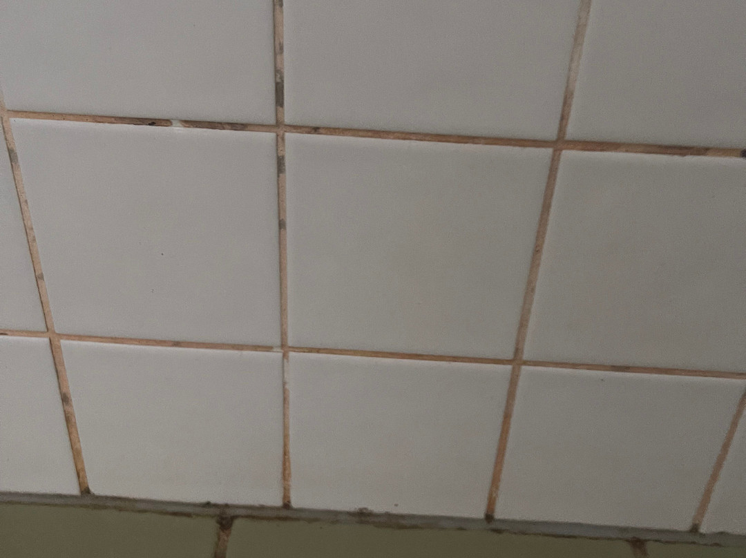 The Lost Camel Hotel主图