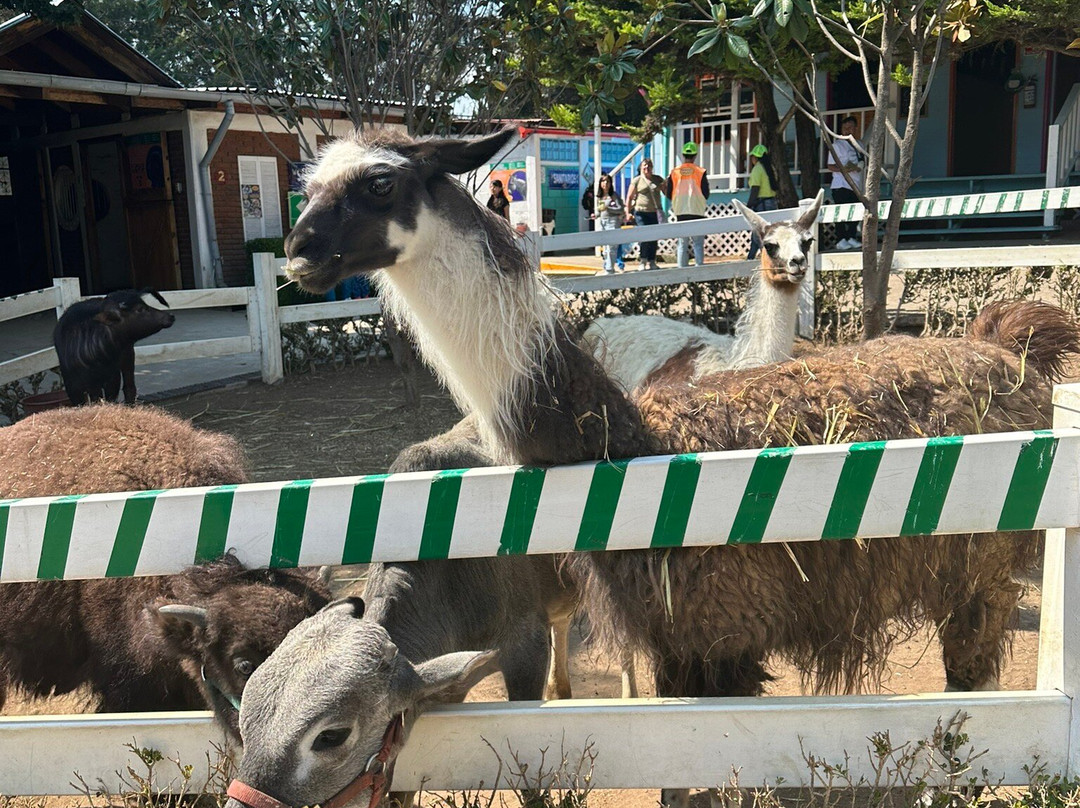 Rancho Magico-墨西哥城必去景点