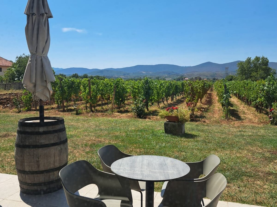 Grabovac Winery景点图片