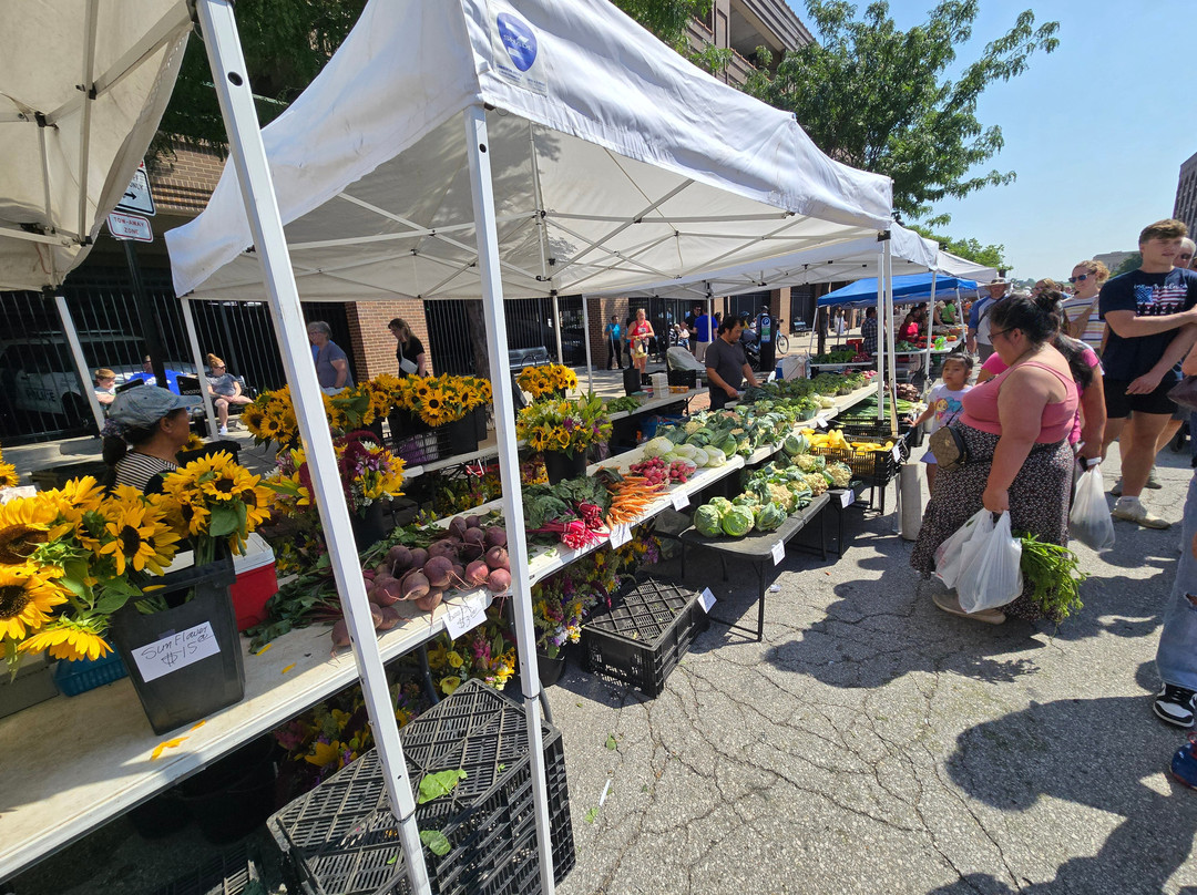 Downtown Farmers Market景点图片
