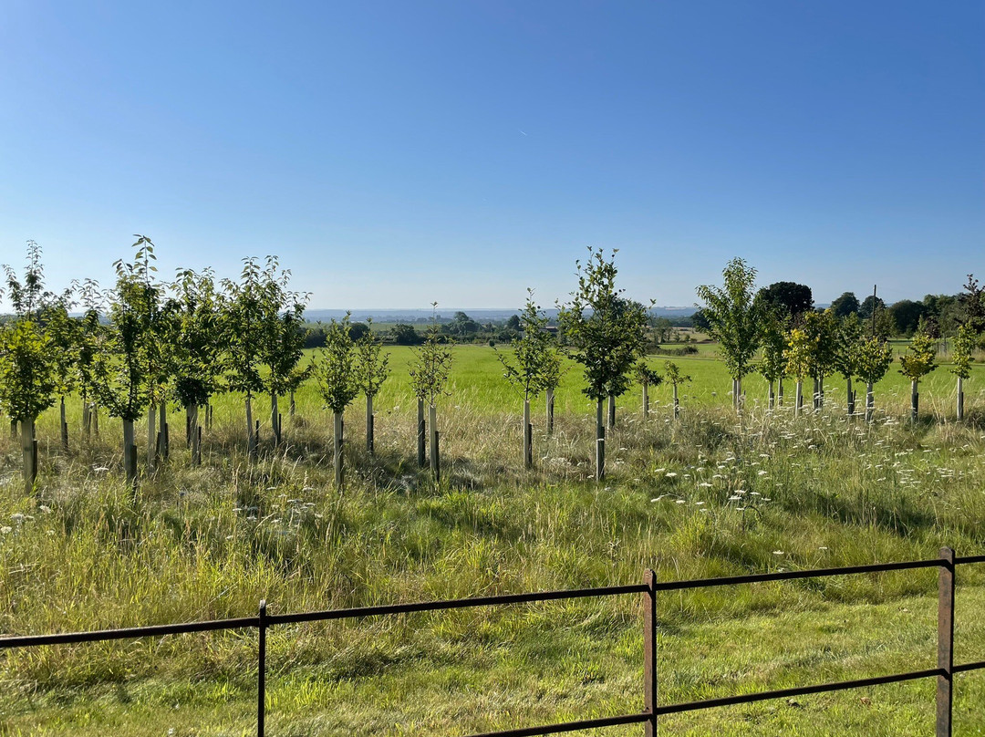 Shakespeare's View主图