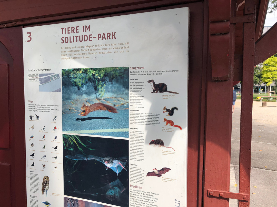 Solitude Park-巴塞尔必去景点