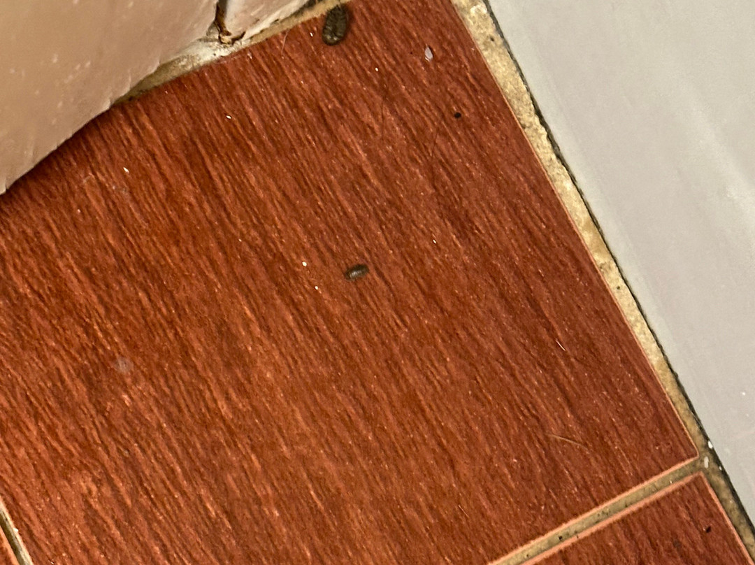 Best Western Plus Waterville Grand Hotel主图