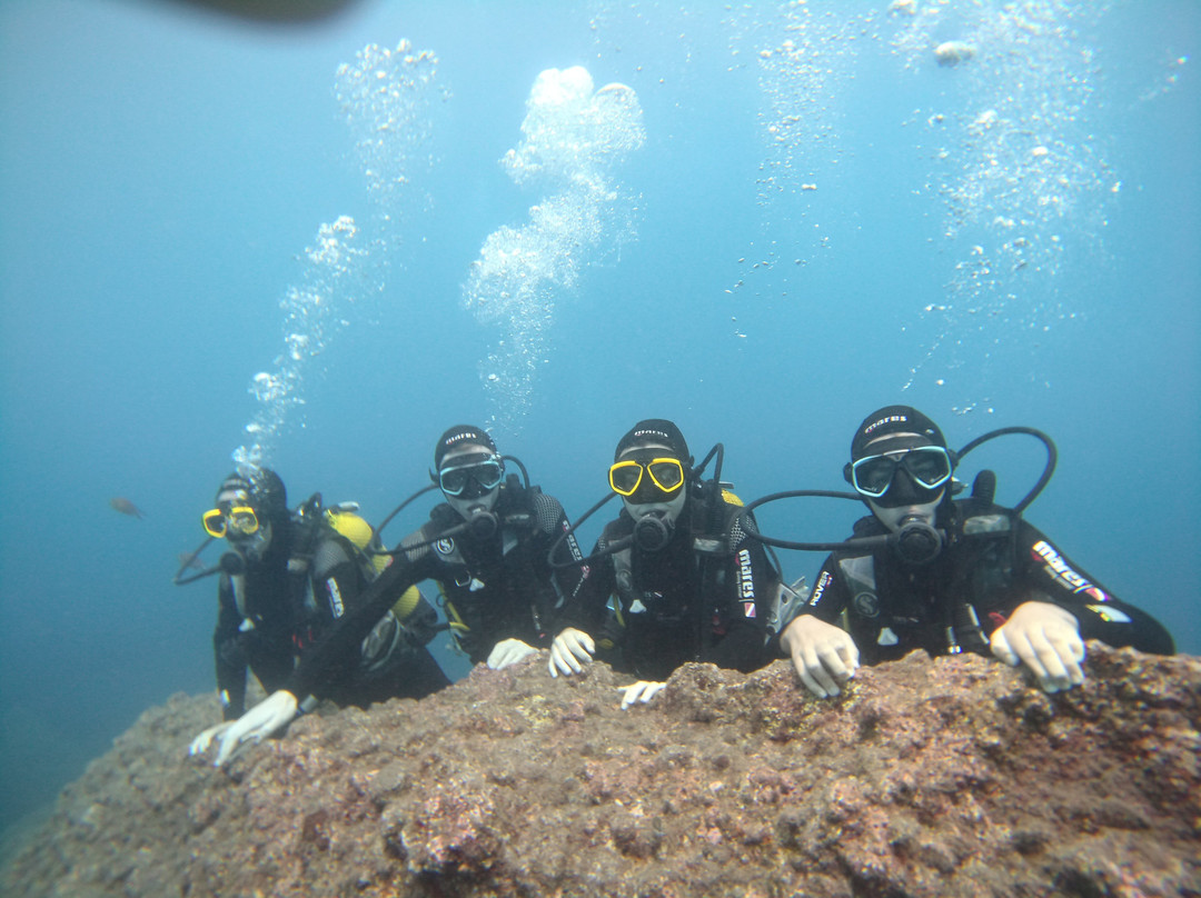 Mero Diving Center-Canico必去景点