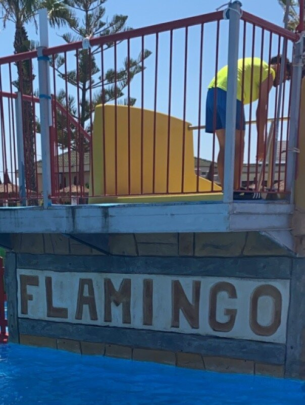 Aquapark Flamingo景点图片