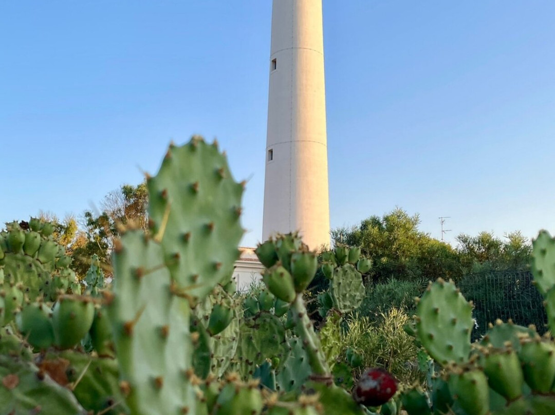San Vito Lo Capo Lighthouse-圣维托角必去景点