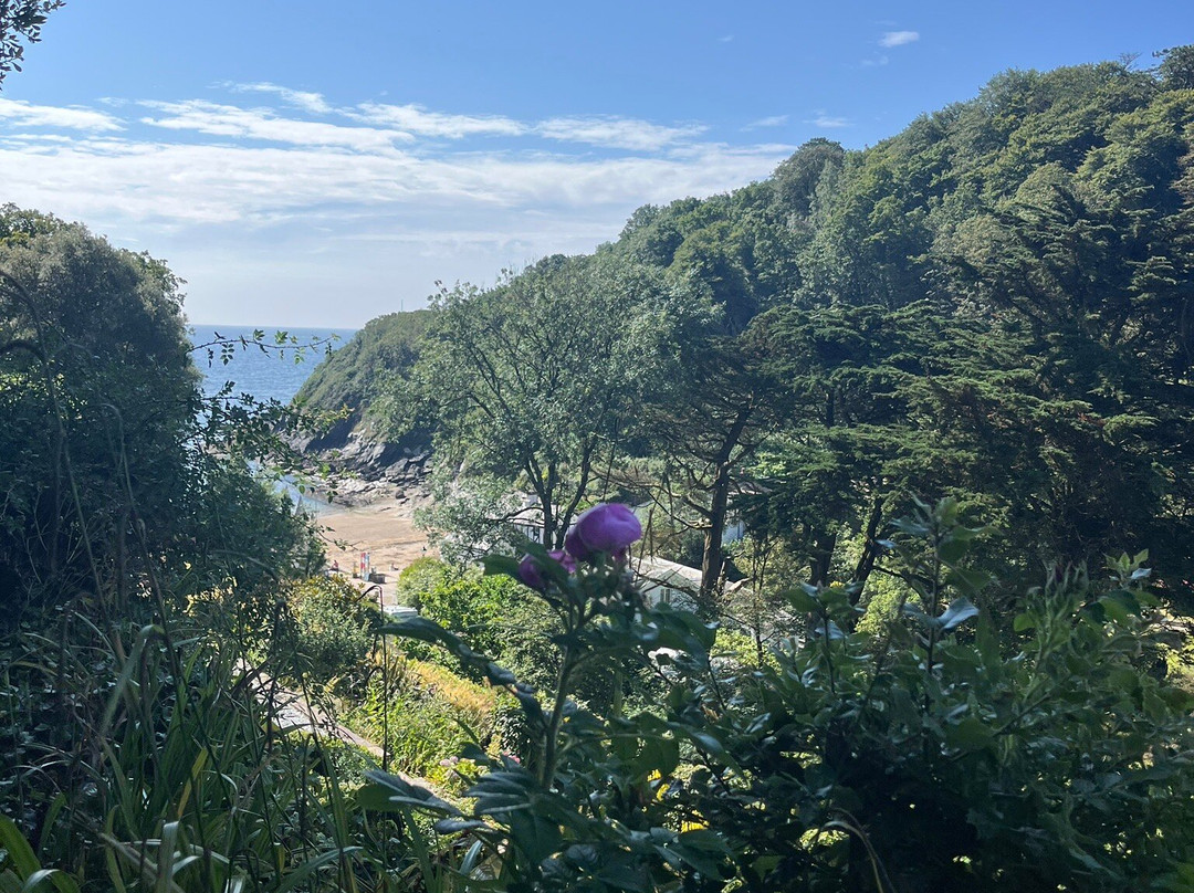 Readymoney Cove-福伊必去景点