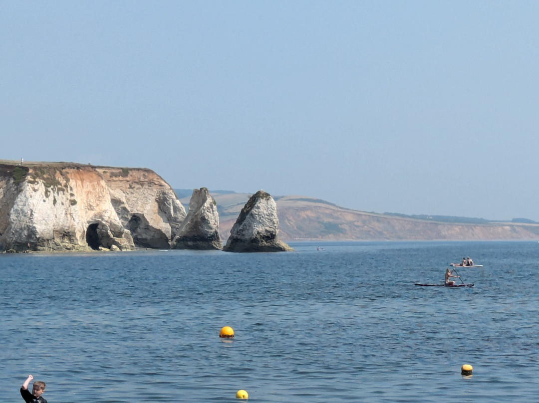 Freshwater Bay景点图片