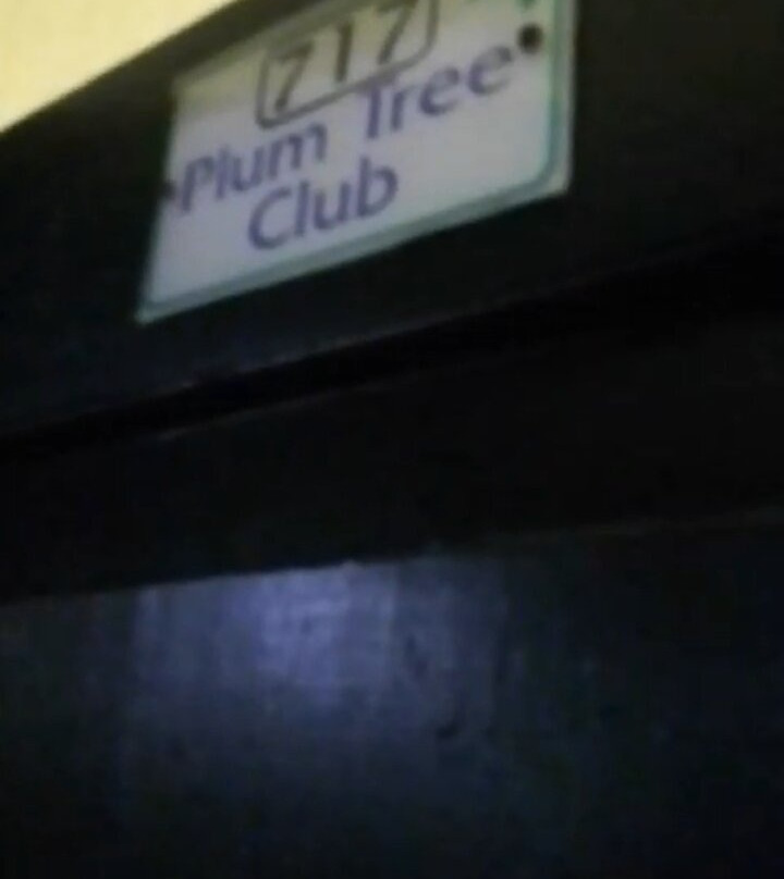 Plum Tree Club主图