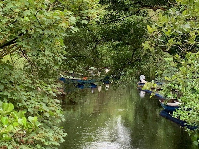 Camillaun Lodge and Angling Centre-浴室