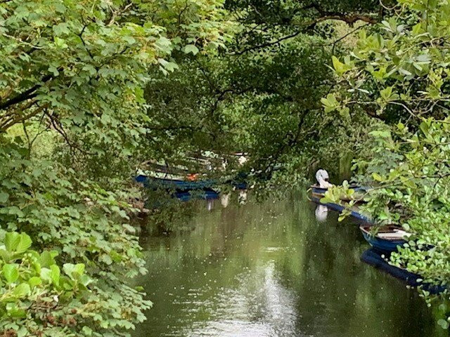 Camillaun Lodge and Angling Centre主图
