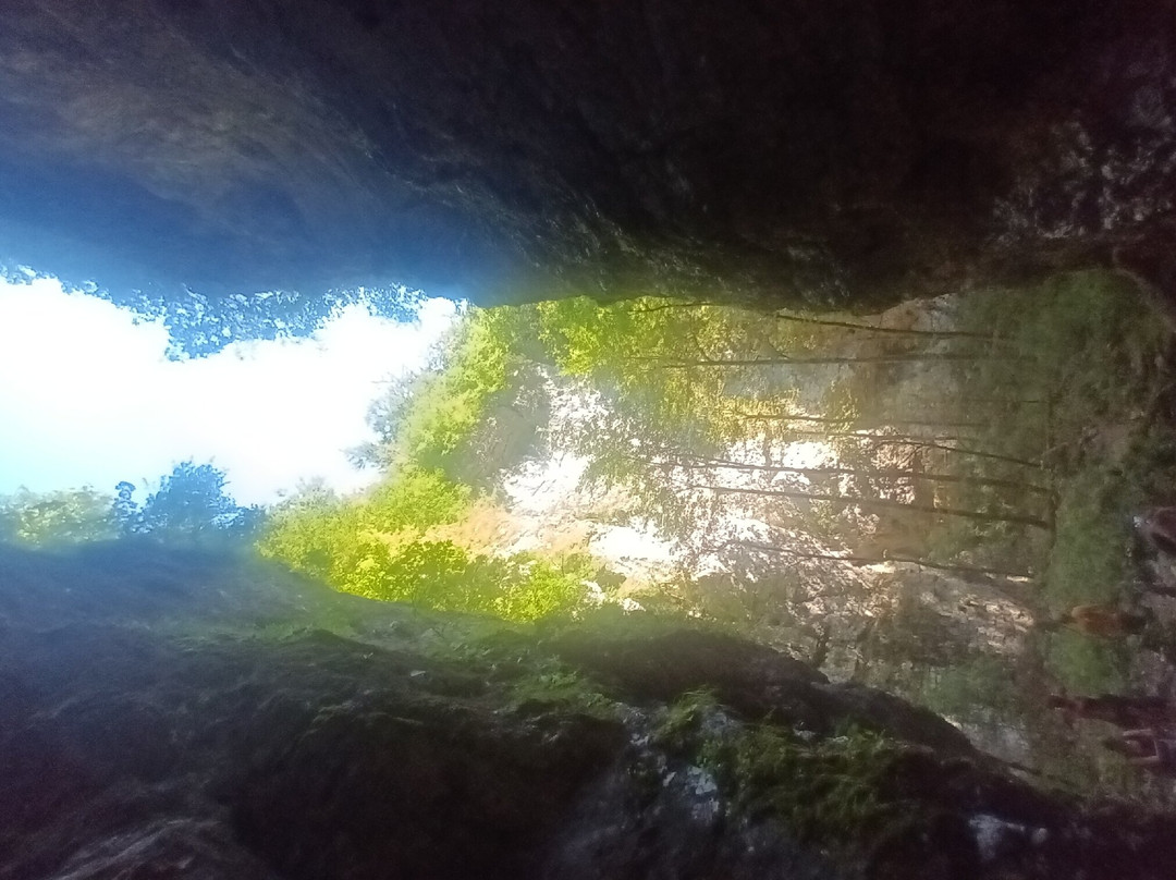 Pokljuška soteska Gorge景点图片