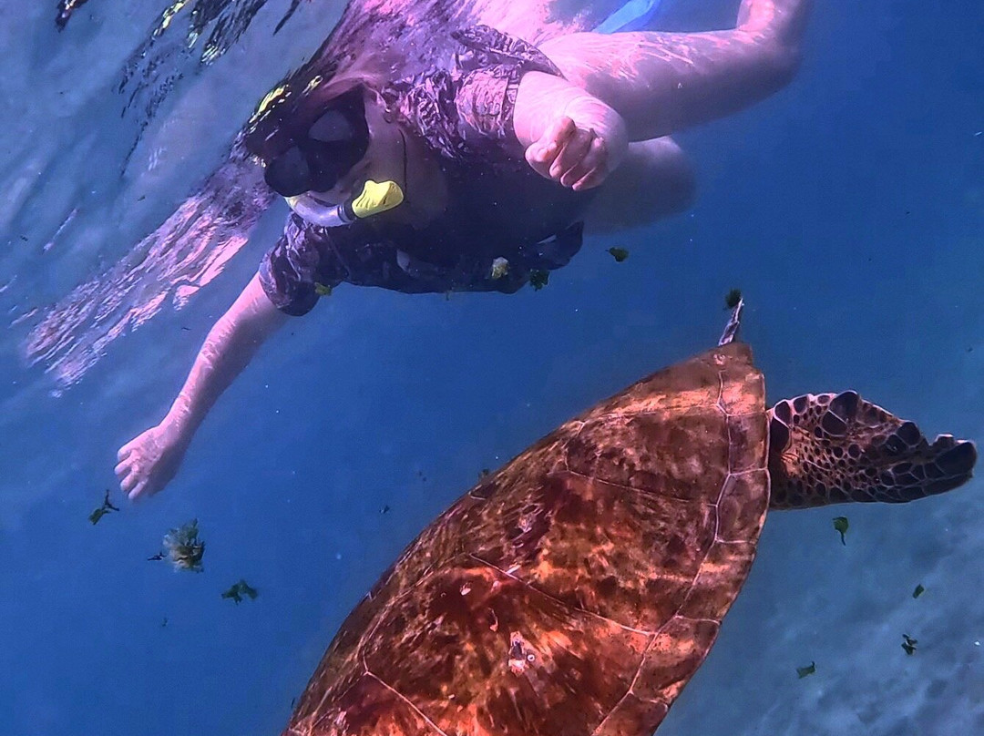 Mirissa Blue Whales And Turtle Snorkeling-Thalaramba必去景点