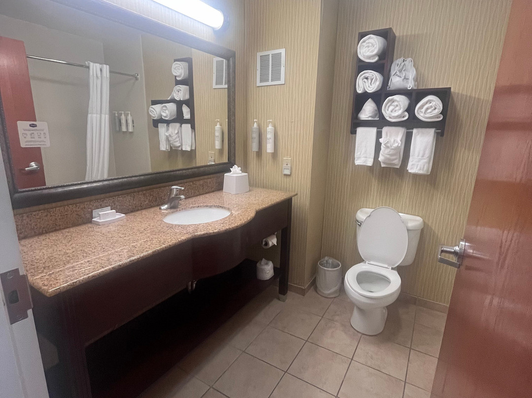 Hampton Inn & Suites East Lansing/okemos主图