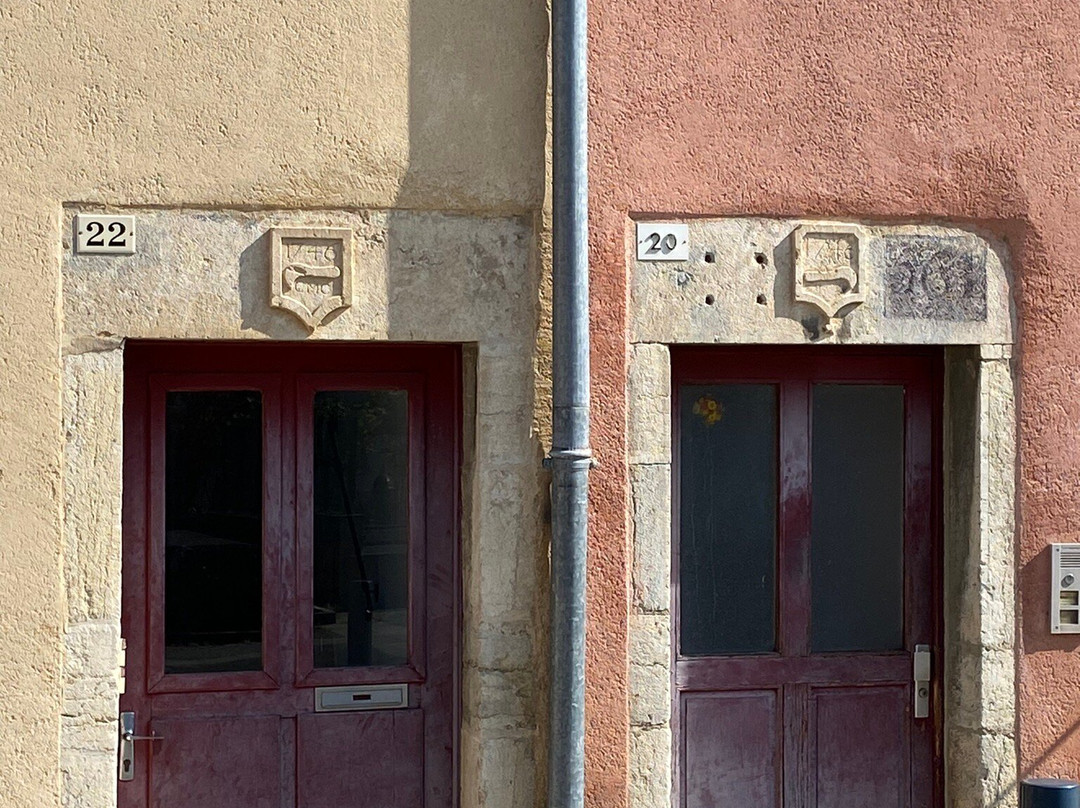Visites Guidees de Lons-le-Saunier景点图片