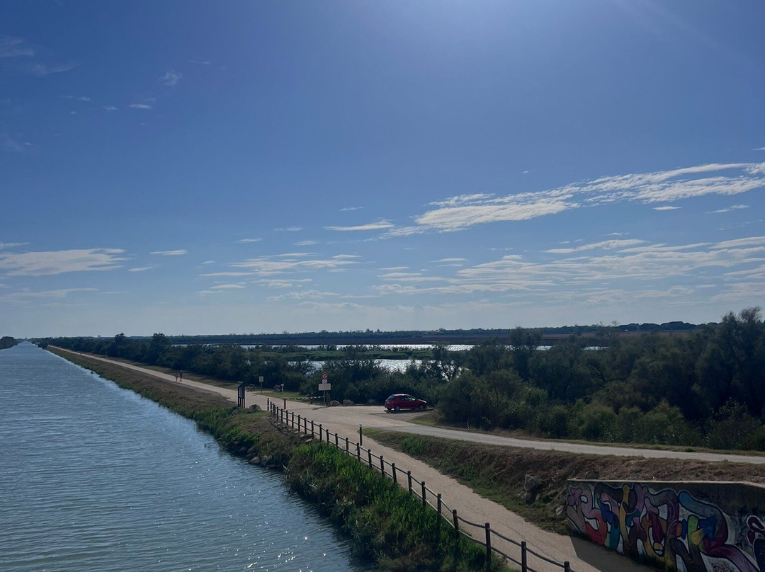 Happy Tour Camargue-艾格莫尔特必去景点