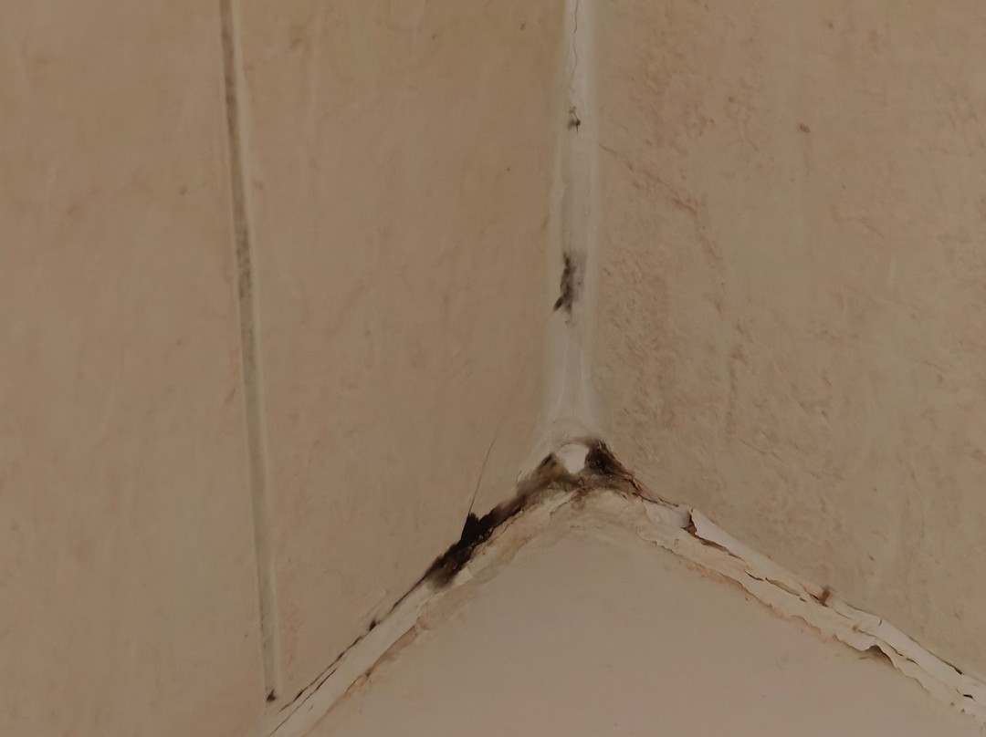 Quality Inn & Suites at Binghamton University主图