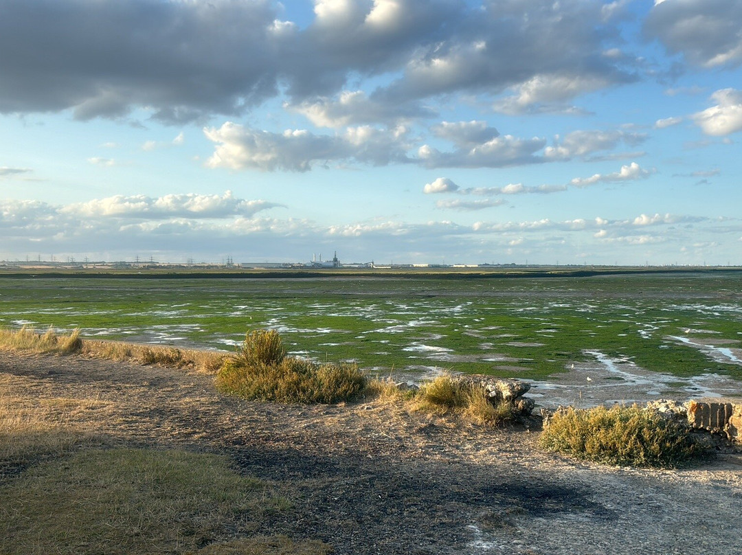 Riverside Country Park景点图片