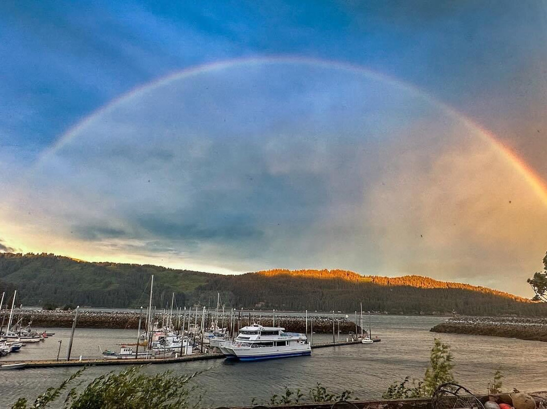 Seldovia Bay Ferry-荷马必去景点