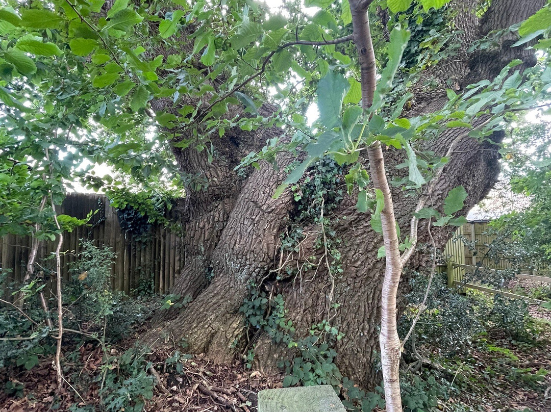 Little Woodham Living History Village景点图片