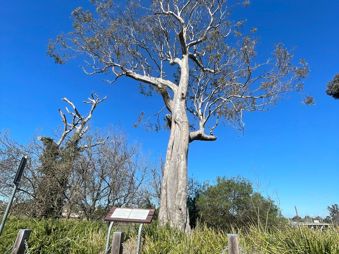 Howitt Park Playground-Bairnsdale必去景点