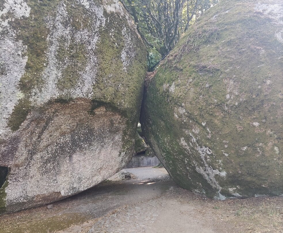 Montanha- Parque da Penha景点图片