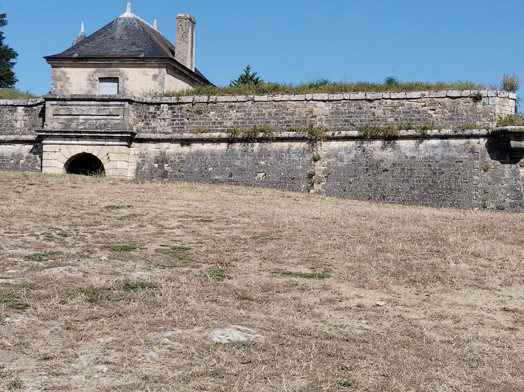 Citadelle de Blaye景点图片