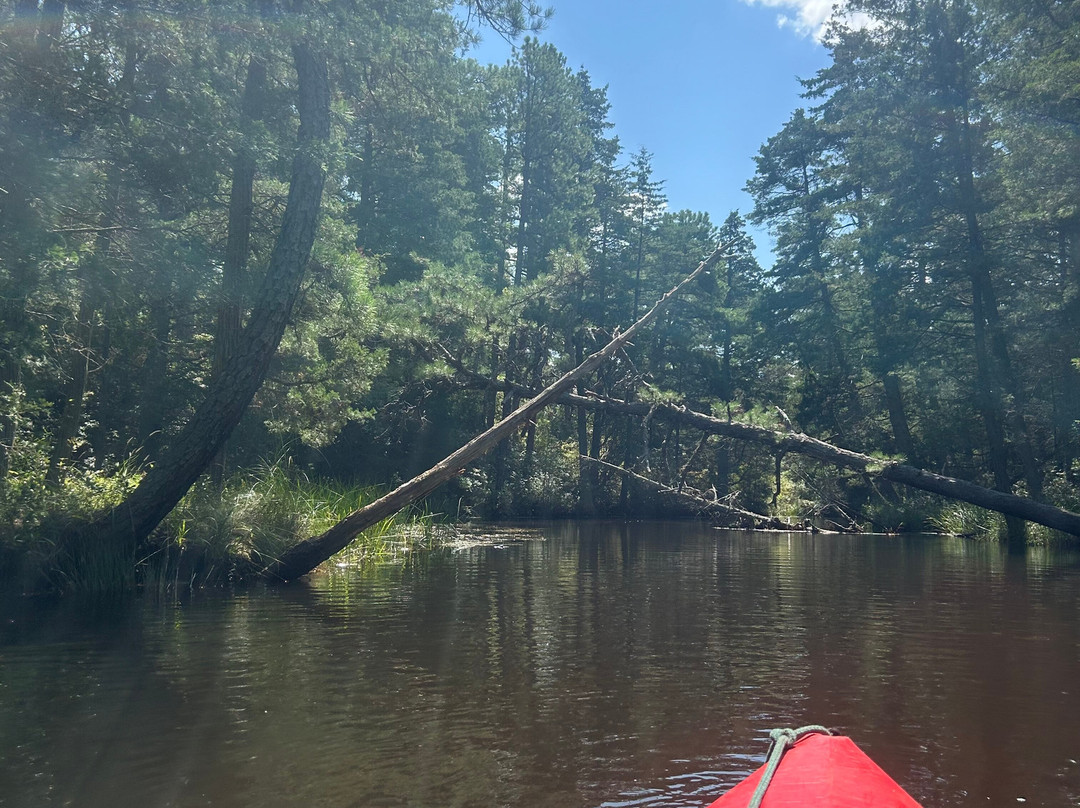Pinelands Adventures景点图片