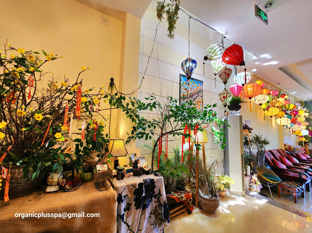 有机+spa-My An必去景点